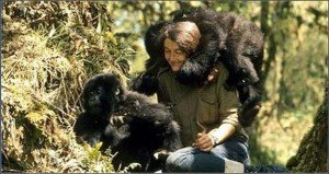 5 dian fossey