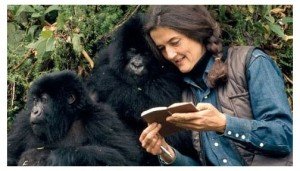 Dian-Fossey