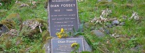 Diane fossey grave