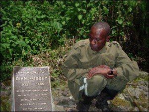 Tombe_DianFossey.0